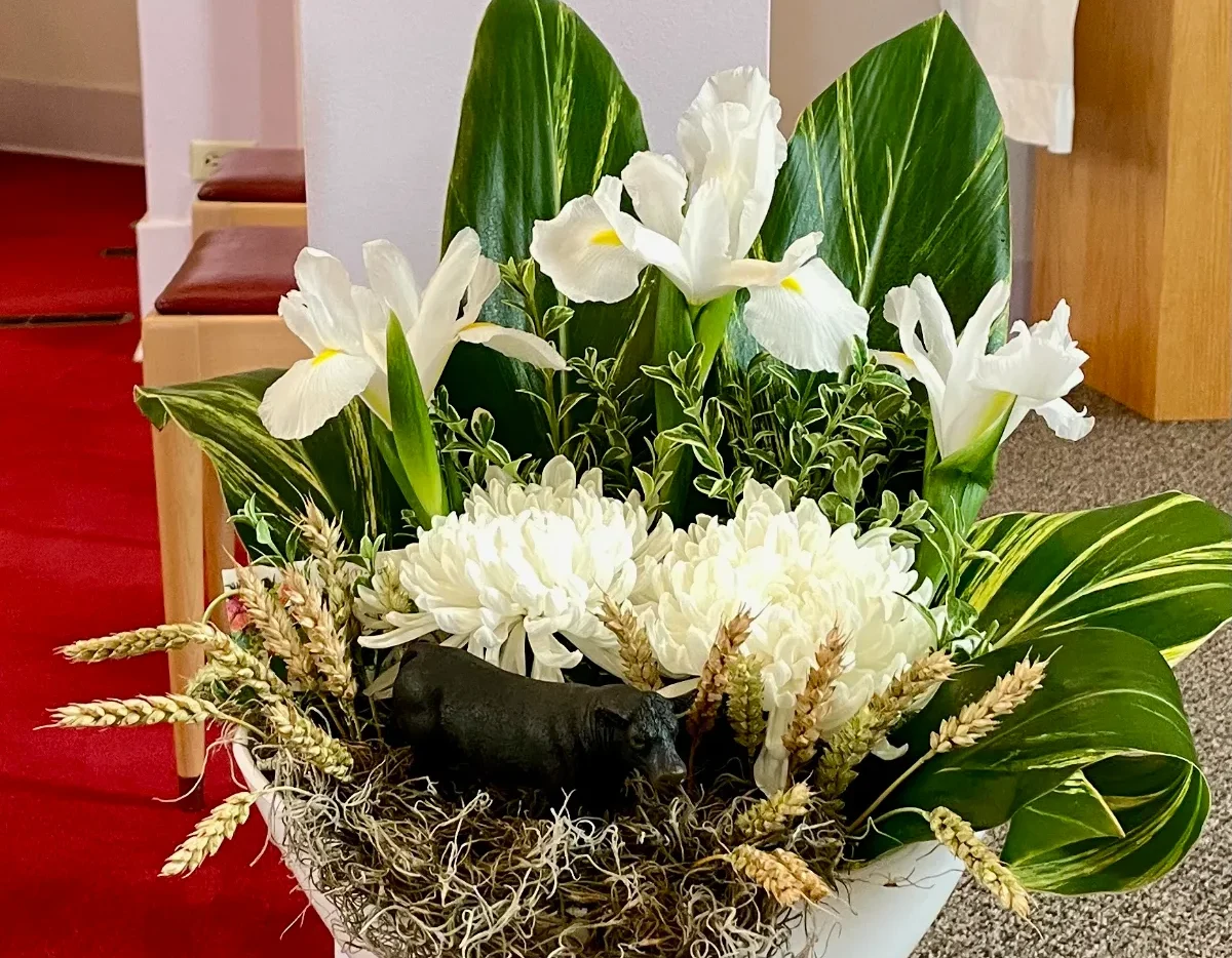 Basket or Container Tribute